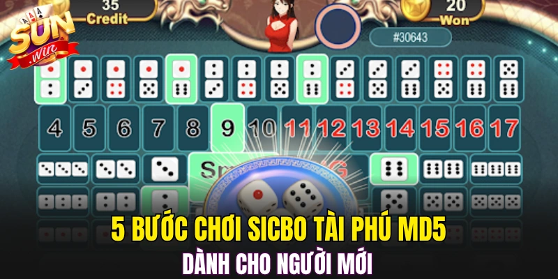 5 bước chơi Sicbo Tài Phú MD5 dành cho người mới 