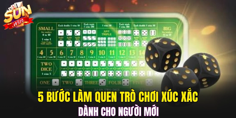 5 bước làm quen trò chơi xúc xắc dành cho người mới 